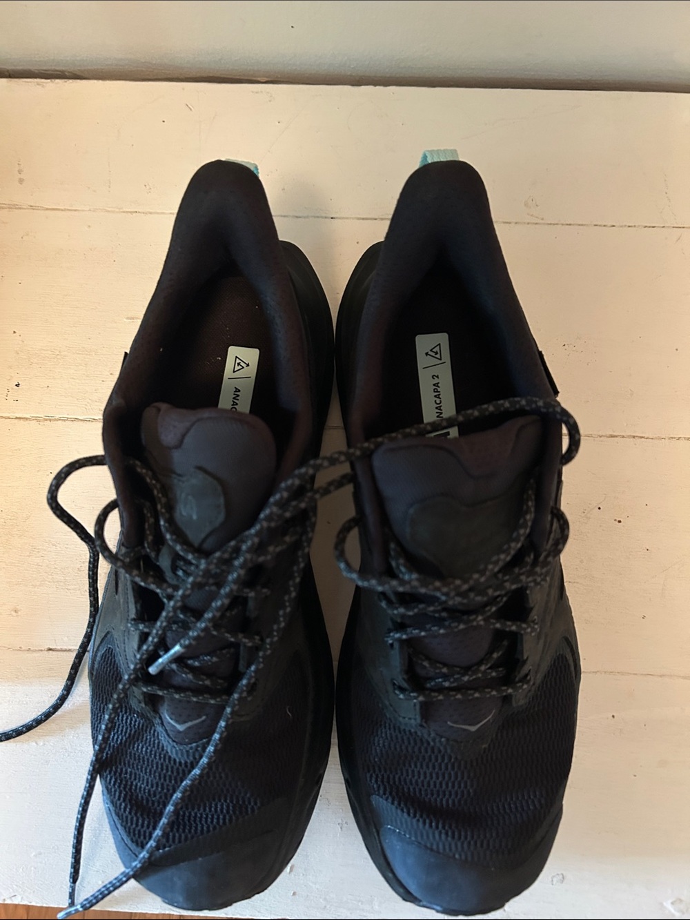 Men's Hoka Anacapa2 Sneakers low gtx